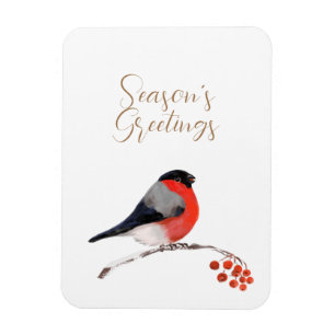 Ímã Saudações do Seasons com o Bullfinch Card reformul