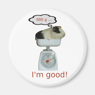 Imã Saúde do Porco da Guiné