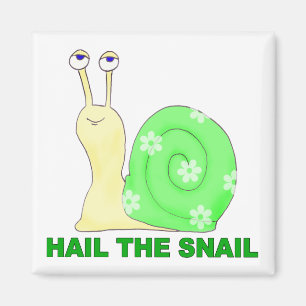 Imã Saude o caracol
