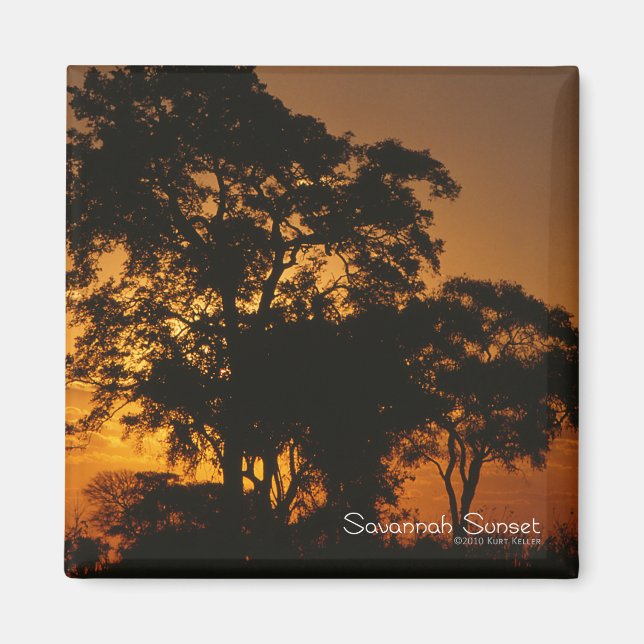 Imã Savannah Sunset (Frente)