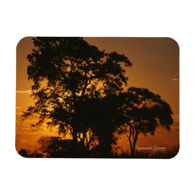 Ímã Savannah Sunset Fotografia Magnet (Horizontal)