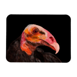 Ímã Savannah Vulture