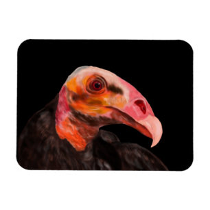 Ímã Savannah Vulture