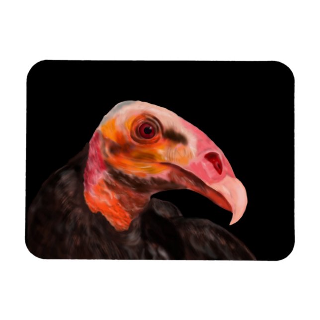 Ímã Savannah Vulture (Horizontal)