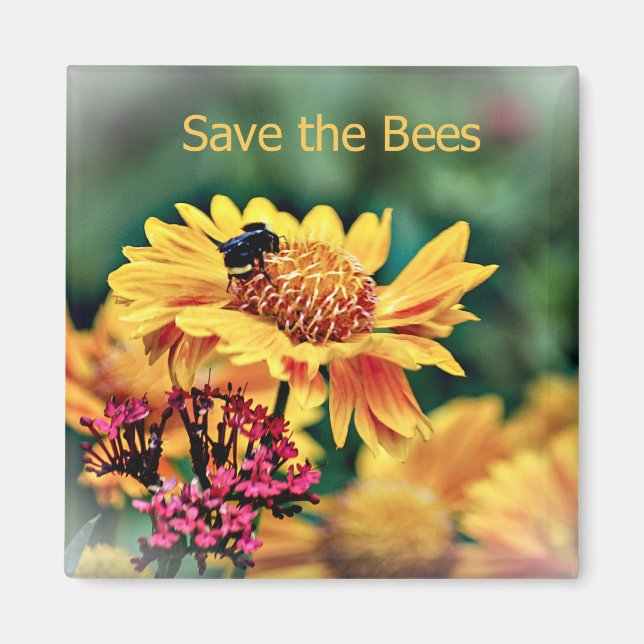 Imã sAVE THE BEES MAGNET (Frente)