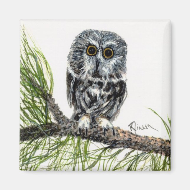 Imã Saw Whet Owl (Frente)