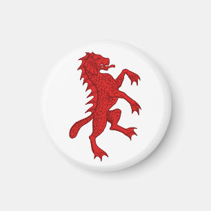 Imã SCA Dun Carraig