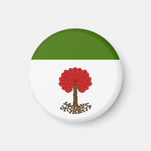 Imã SCA Myrgan Wood Magnet