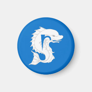 Imã SCA Ruantallan Magnet