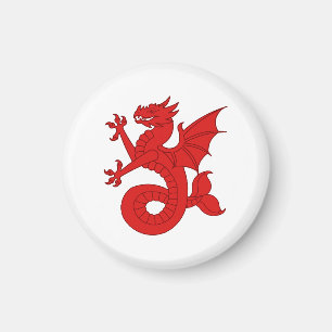 Imã SCA Seashire Magnet