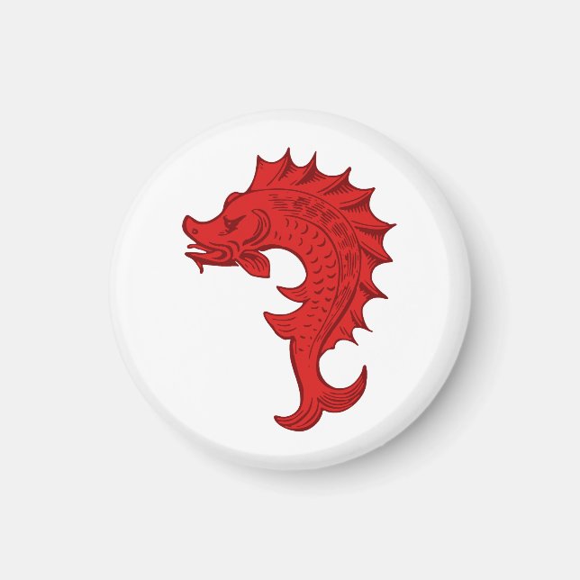 Imã SCA Tir-y-Don Magnet (Frente)