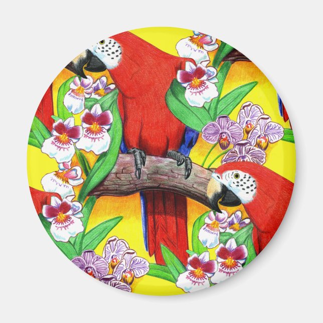 Imã Scarlet McCaw (Frente)