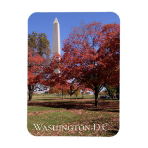 Ímã Scenic Autumn Washington D.C. Souvenir