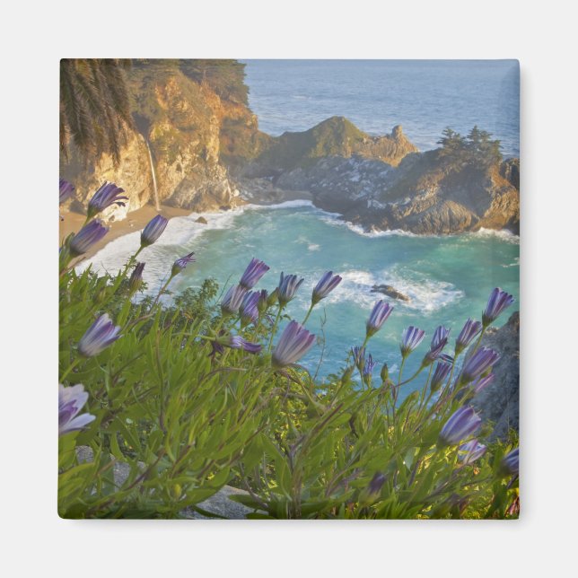 Imã Scenic McWay cai na praia e (Frente)