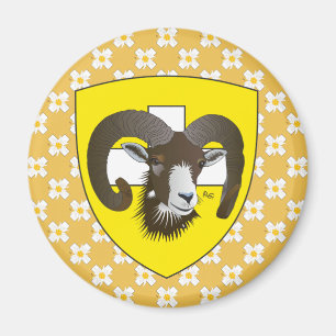 Imã Schaffhausen - Suíça Suisse - Svizzera íman