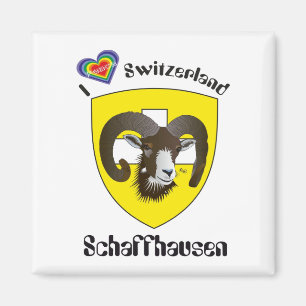 Imã Schaffhausen Suíça Suisse Svizzera íman