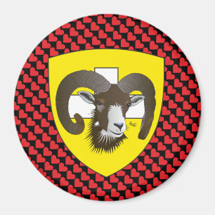 Imã Schaffhausen - Suíça Suisse - Svizzera íman