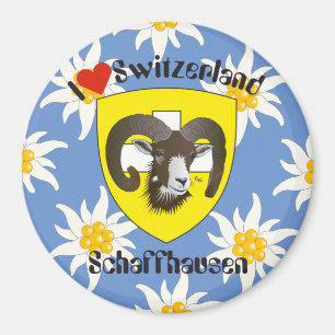 Imã Schaffhausen - Suíça Suisse - Svizzera íman