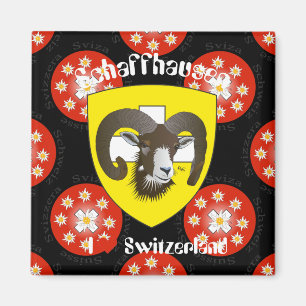 Imã Schaffhausen - Suíça Suisse - Svizzera íman