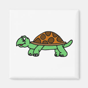 Imã Schildkröte Lustig