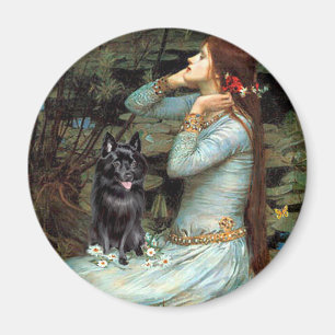Imã Schipperke 4 - Ophelia Seated