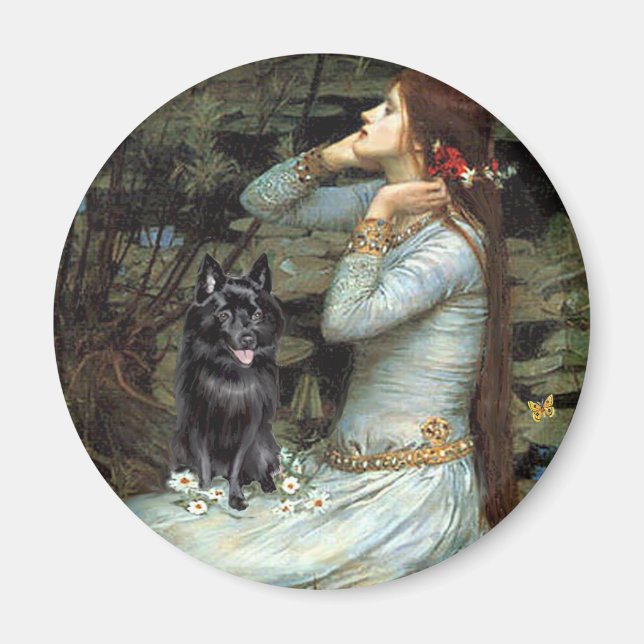 Imã Schipperke 4 - Ophelia Sentada (Frente)