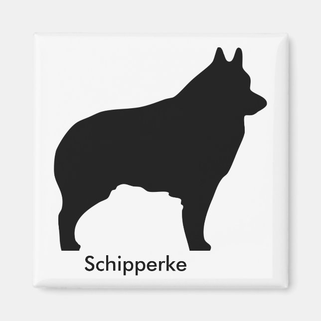 Imã Schipperke Magnet (Frente)