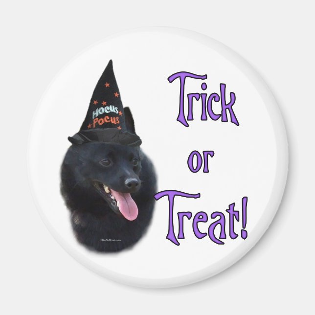 Imã Schipperke Trick (Frente)