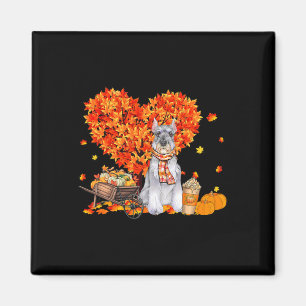 Imã Schnauzer Autumn Fall Deixa Pumpkin Dog Amor