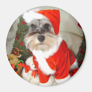 Imã Schnauzer diminuto de X'Mas do Natal