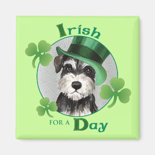 Imã Schnauzer diminuto do dia de St Patrick