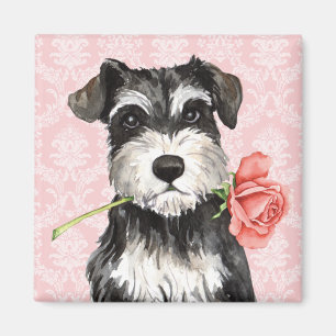 Imã Schnauzer do rosa dos namorados mini