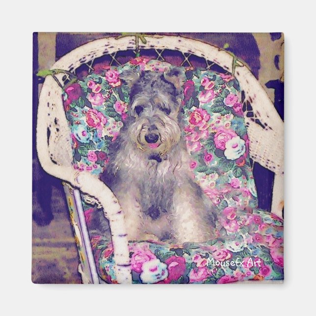 Imã Schnauzer Magnet (Frente)