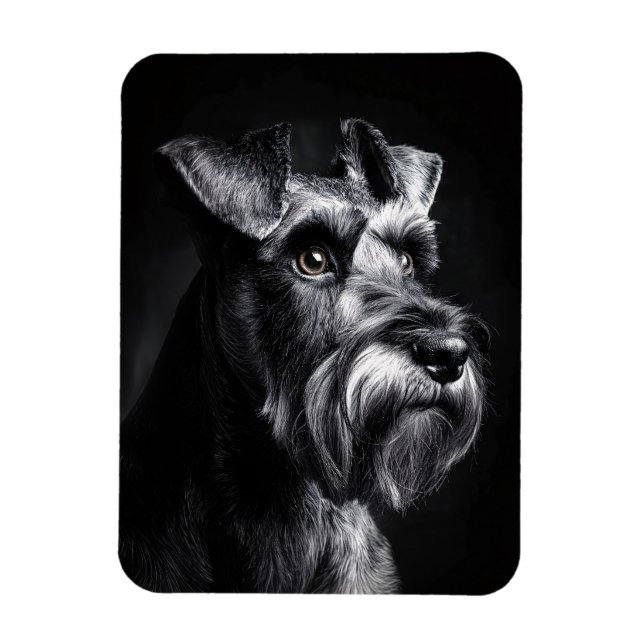 Ímã Schnauzer Monochrome Portrait Flexible (Vertical)
