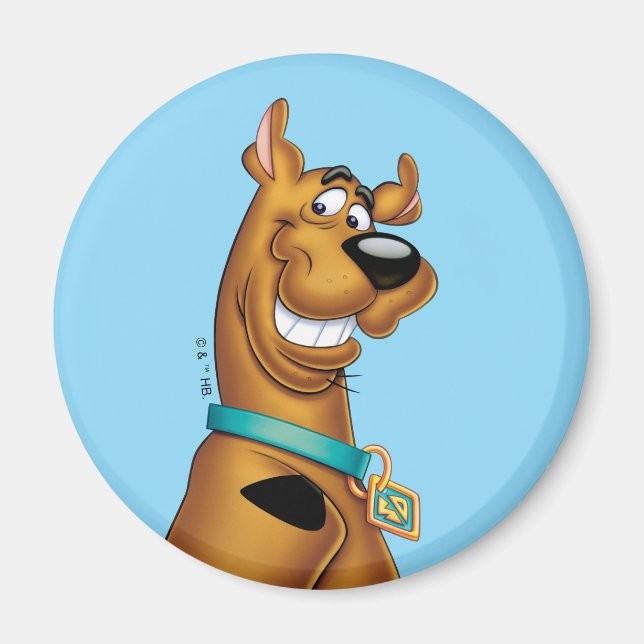Imã Scooby-Doo Grin (Frente)