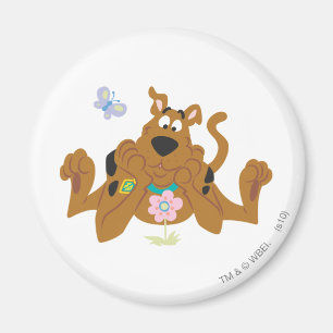 Imã Scooby-Doo que admira a flor