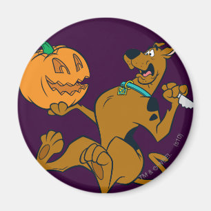 Imã Scooby-Doo que cinzela a abóbora
