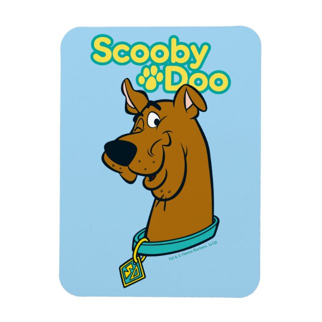 Ímã Scooby-Doo Winking (Vertical)