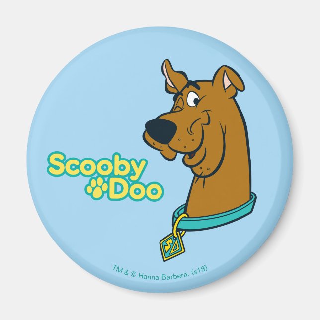 Imã Scooby-Doo Winking (Frente)
