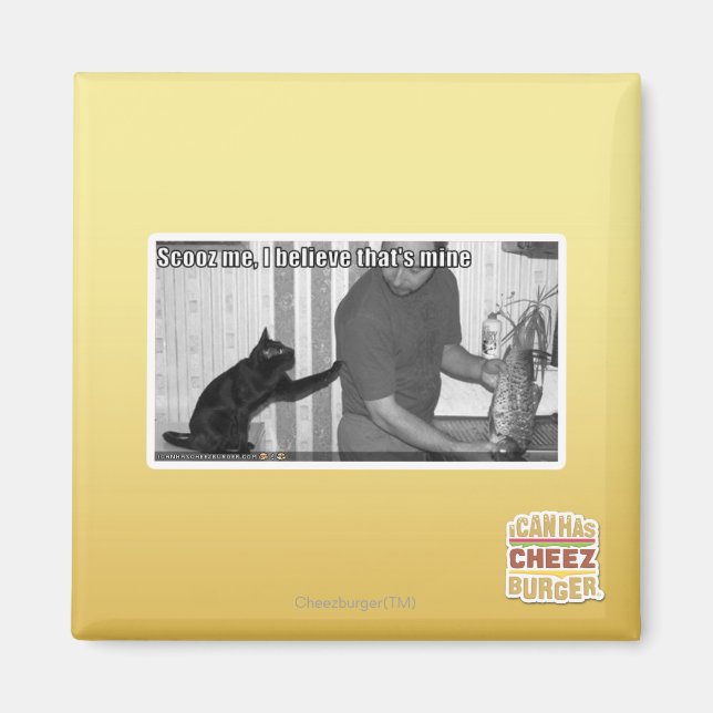 Imã Scooz me, acredito que é meu (Frente)