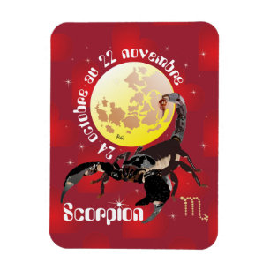 Ímã Scorpion Premium Flexi íman