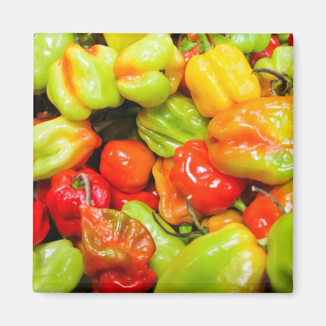 Imã Scotch Bonnet (Frente)