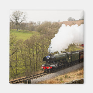 Imã Scotsman do vôo em Goathland