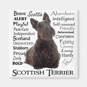 Imã Scottie Traits Magnet
