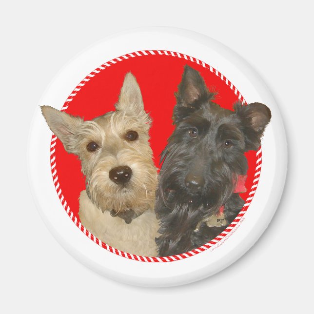 Imã Scotties Trigo de Natal & Pretos (Frente)