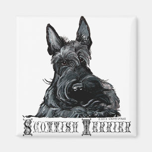 Imã Scottish pequenino Terrier
