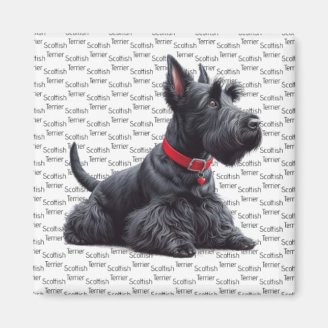 Imã Scottish Terrier in (Frente)