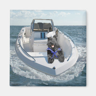 Imã Scottish Terrier no barco