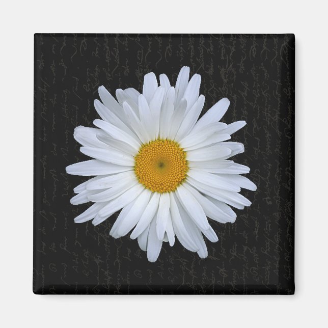 Imã Script e margarida em francês preto - ímã (Frente)