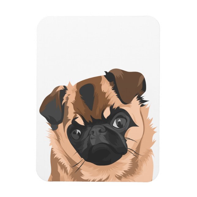 Ímã Scully Magnet (Vertical)